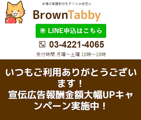 ブラウンタビー/Brown Tabby